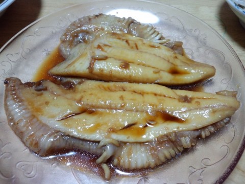 3kiizo6witrspp2vvwn3_480_480-2d42731e.jpg