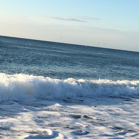 3kjrfht7i6x2rdi2fa5e_920_920-5181f8d4.jpg