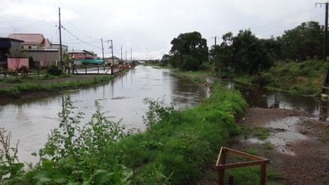 3km59pyhvgyx3bv24imy_480_480-3d83a582.jpg