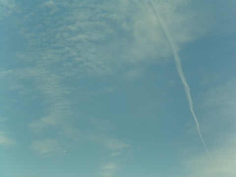 3kv6nkggv3hr8w3isecz_480_480-4c20b2f9.jpg
