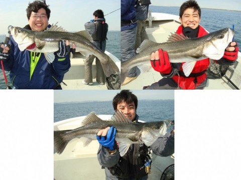 3mgeknkcar3b6fs6hkdj_480_480-a472c07a.jpg