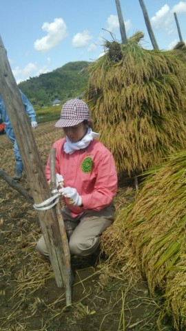3mpmvrch5dhusntz8sff_518_920-ddba0830.jpg