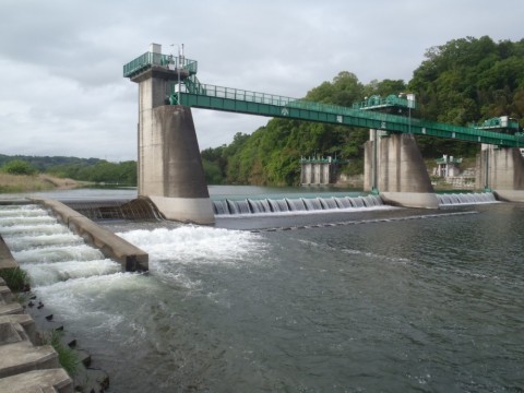 3muk6sgh92f8crt72xha_480_480-662aadc7.jpg