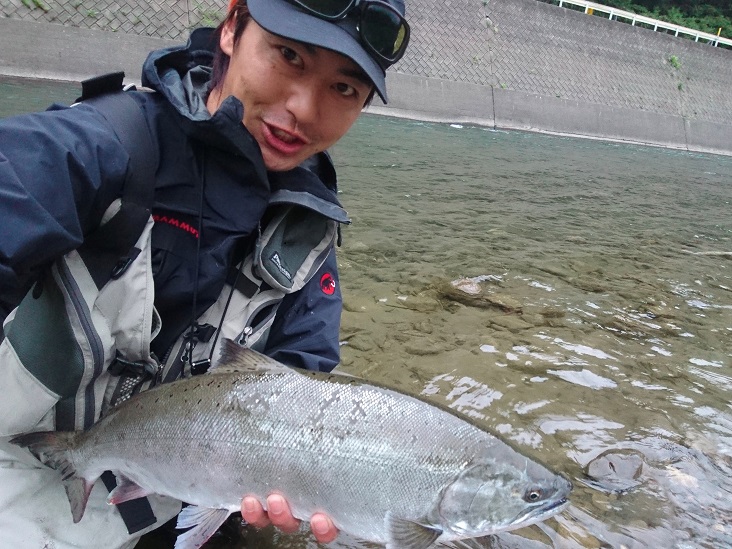 Pure Fishing Japan Saltwater Blog 閉伊川の女王サクラマス