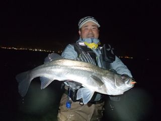 3n38r5d38kkr9bziycm8-5ec3c844.jpg