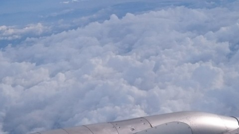 3nb8e8fiygjdir7cfpx2_480_480-12af367d.jpg