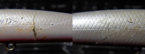 3nef7a5jm3zc9j8pnuv8_480_480-887335a6.jpg