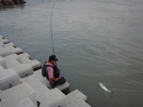 3nmcho663cn567yombnu_480_480-ac654e14.jpg