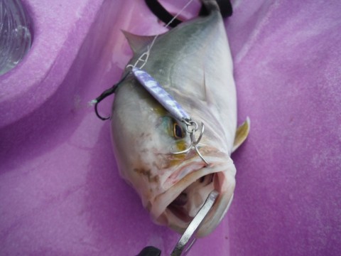 3noiid4egajsczkwbh3x_920_690-19df4d98.jpg