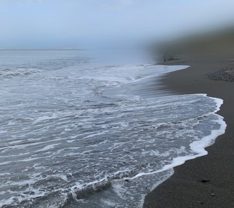 3nrpvbrmr75bnzf8fofg_480_480-40064b0b.jpg