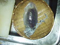 3nuassfuvimaadoauknf-05e87883.jpg