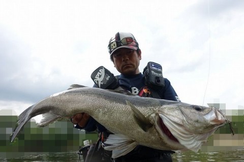 3nv8amptengt9zduensh_480_480-2620e1cf.jpg