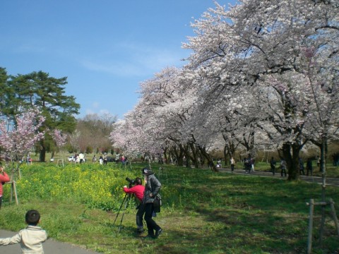 3o8m2a8kmpovmkarihg5_480_480-9783ff31.jpg
