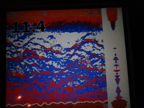 3ofrivfb8ayyetp9ft32_480_480-c825e5e2.jpg