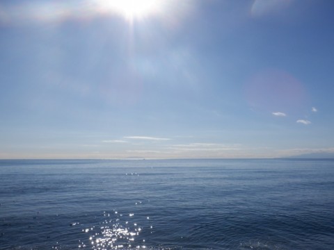 3ougmkdgtcp8rmxe8hy7_480_480-5240c99b.jpg