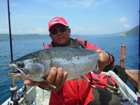 3oxggtc29dx64mbvt229_480_480-3c5b4c0a.jpg