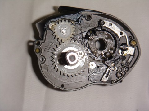 3p68i2muewabg4hhnbwz_480_480-74f6b60f.jpg