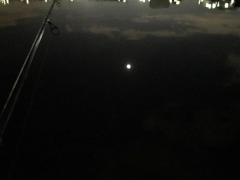 3p8dw8yw4ui24ourfmuk_920_690-33d2376a.jpg