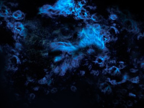 3p9bav9gx82nn4cwkwo2_480_480-9e0a03b8.jpg