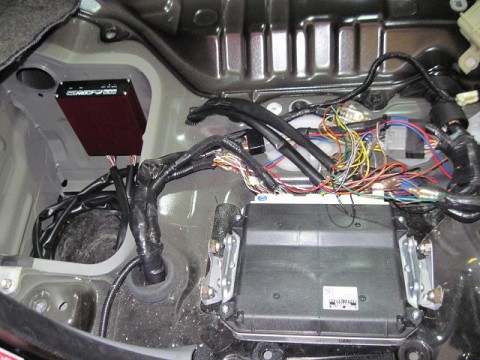 3pa7bu2aghop7vyy8tf3_480_480-af817e77.jpg