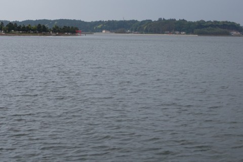 3pch6p3km8zjs4t3vmr9_480_480-1f121887.jpg