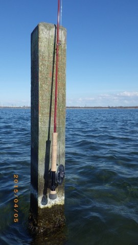 3pfnc43bsduwwtraiwgx_480_480-5d854ce7.jpg