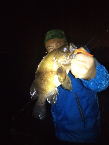 3pna5kekie3s76nxawmr_480_480-f72455dc.jpg