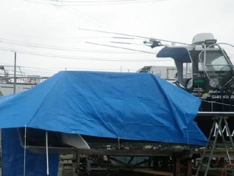 3r9gt4gdahih4rea4ptk_480_480-94177ed8.jpg