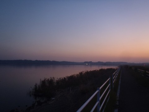 3reajg5a2ptmfr9xrbvc_480_480-100219e3.jpg