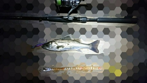 3rhbxtjabz36v6niejo2_480_480-f50e52f0.jpg