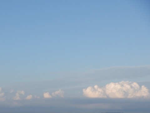 3romyvknv9wa7drrs8wb_480_480-002ad2c4.jpg