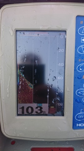 3rxy44as2oo79igr2wae_480_480-e9e5d575.jpg