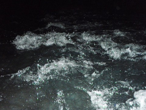 3ryPy5QgYoDtYYpU5Zrw_480_480-a399c1d0.jpg