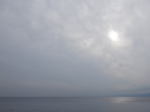 3s58yp6xudsiryu9i4jh_480_480-61732fbe.jpg