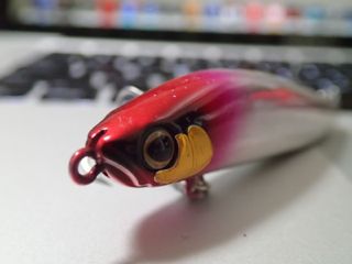 3sfkgty9jakpkicd8tdw-db982969.jpg