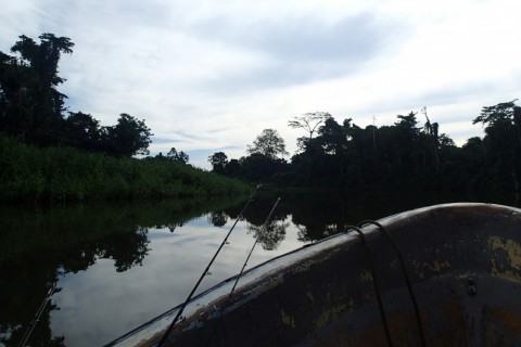 3sxf97wmvp2y2tmyvhj3_480_480-5dde03e0.jpg