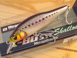 3t3wc69tk4cobhyrnsz4-6a4ba098.jpg
