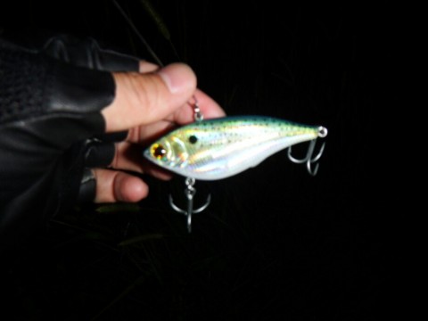3tbw5673rdyv5u9ihajw_920_690-010290e5.jpg