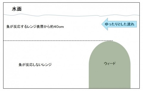 3tgme6is2tskzrbv5x76_480_480-c191c0ca.jpg