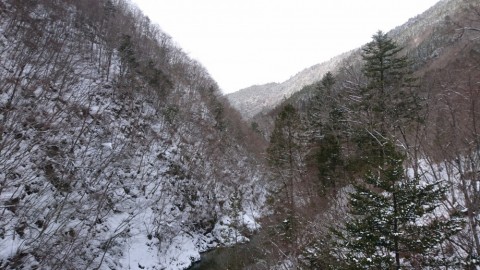 3tkx56agecdx2i9e25zw_480_480-7f7442a9.jpg