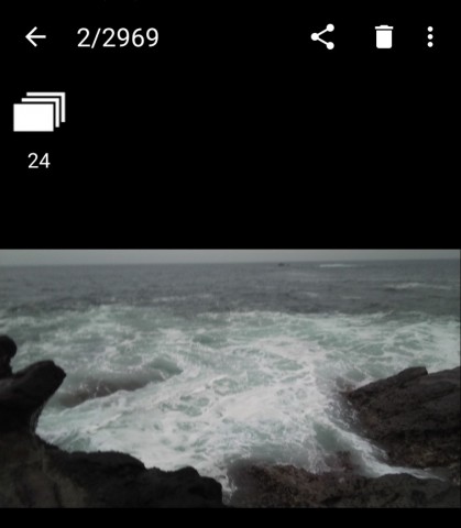 3ttcgkugd89cxa8ip7df_480_480-b3723a7f.jpg