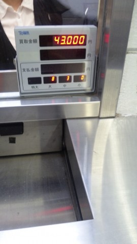 3u378tdwbxei2o4fsfdj_480_480-cd07bf85.jpg