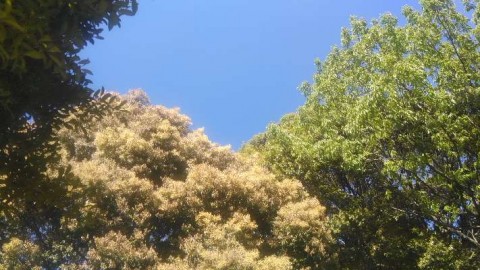 3uaupxwfgg9pfggm6txv_480_480-fe1a00e0.jpg