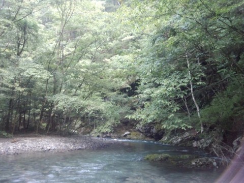 3ucn9prpw89g4d7f737f_920_690-0d4751a9.jpg