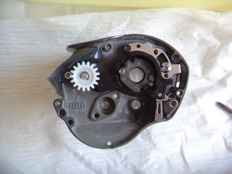 3uw3fnirppdoygjwedob_480_480-0f6d1663.jpg
