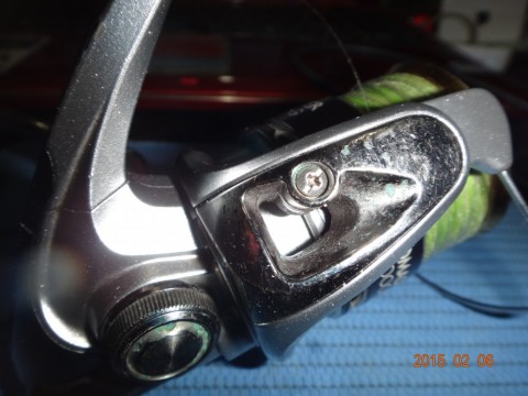 3v73i4cr6m2augdhyvid_480_480-ece911db.jpg