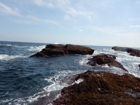 3viyv5pjxzmrxe63nh8r_920_690-4af7376f.jpg
