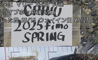 3vocrtz4r2u6pj2yhno6-209b6df0.png