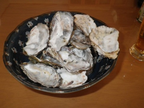 3vrfnskaispu4tih3s8m_480_480-11070b22.jpg