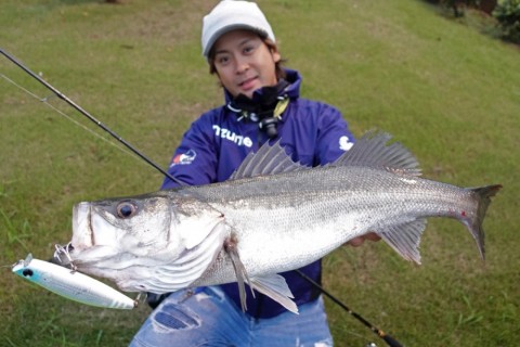 3vs655bhumvgc3vgpa8x_480_480-2b11dd20.jpg